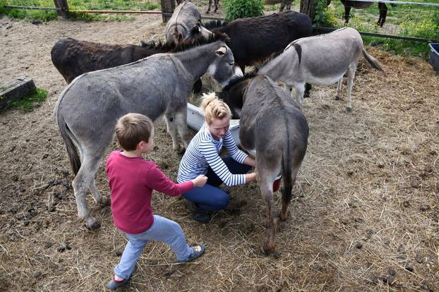 Bjelovar:  OPG Plašć proizvodi magareće mlijeko