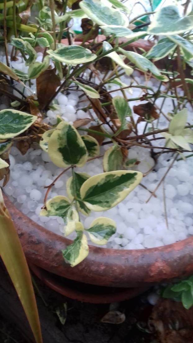 U Kaštelima su zapeli u ledu, a u Puli su se brčkali u moru...