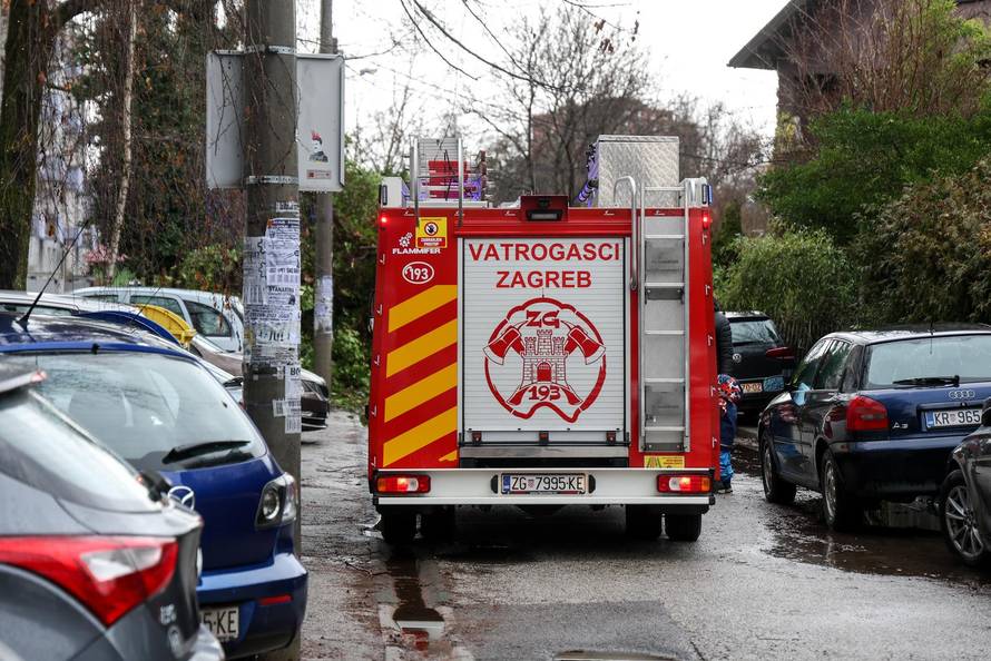 Zagreb: Drvo palo na automobile 