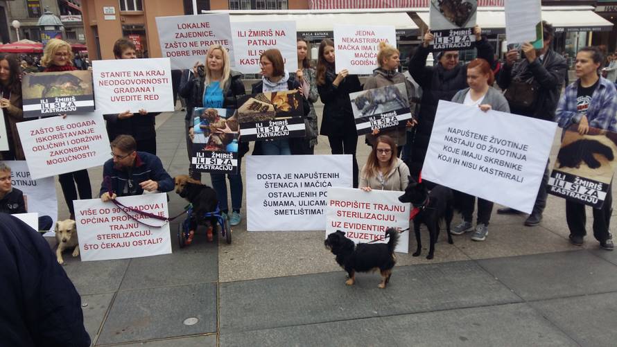 'Srce me boli kada vidim koliko životinja luta našim gradom...'