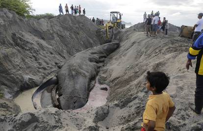 Nikaragva: Pokopali kita kojeg nisu mogli odgurati u ocean 