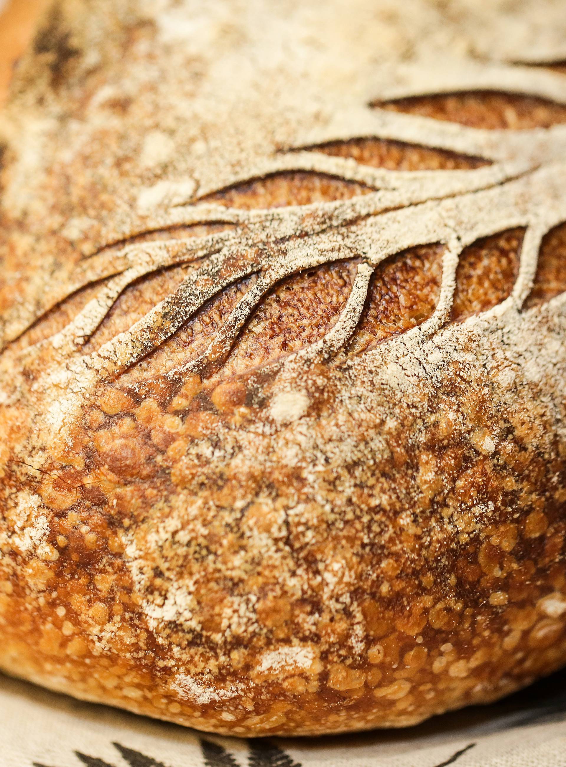 Napravite sami domaći kvas i kruh prema Anitinom receptu