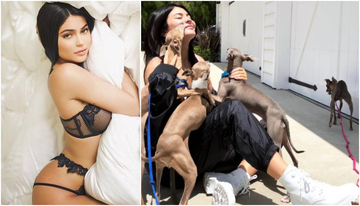 Kylie je izgradila vilu svojim psima: 'Je li za iznajmljivanje?'
