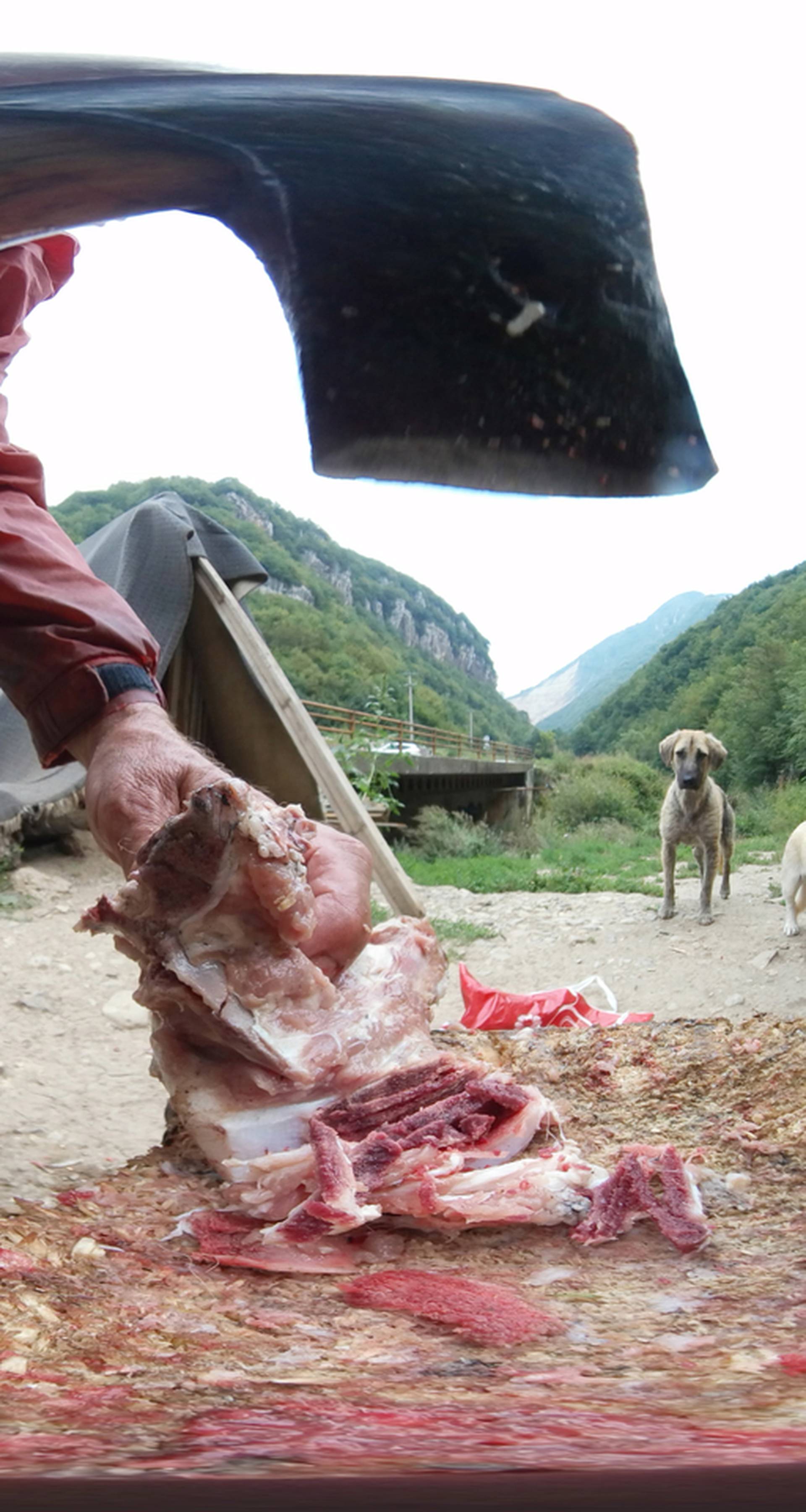 Stray dogs watch former steel factory worker Zarko Hrgic hack away at meat with a hatchet to feed them
