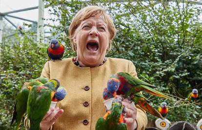 FOTO Merkel ugrizla ptica. Izlet u zoološki vrt završio vriskom