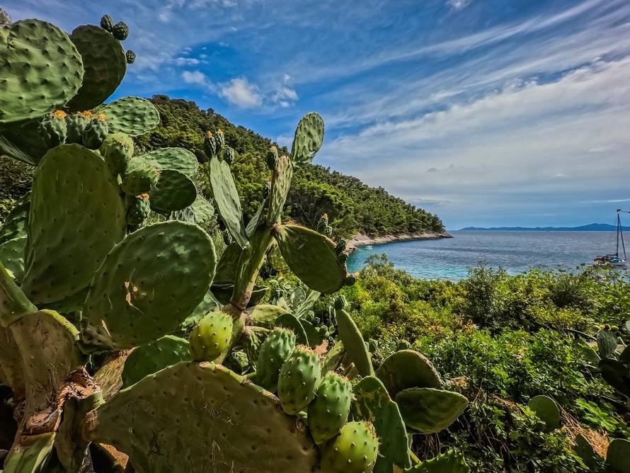 Uvala Pupnatska Luka na otoku Korčuli