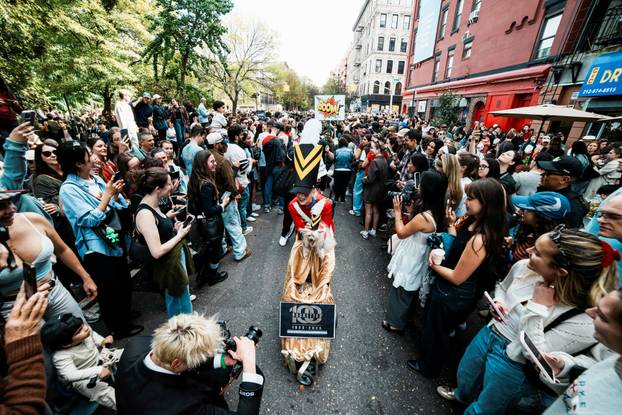 Tompkins Square Halloween Dog Parade in New York
