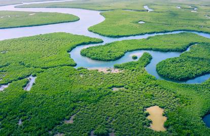 Autohtono stanovništvo poziva svijet da se snažnije angažira na zaštiti Amazonske prašume