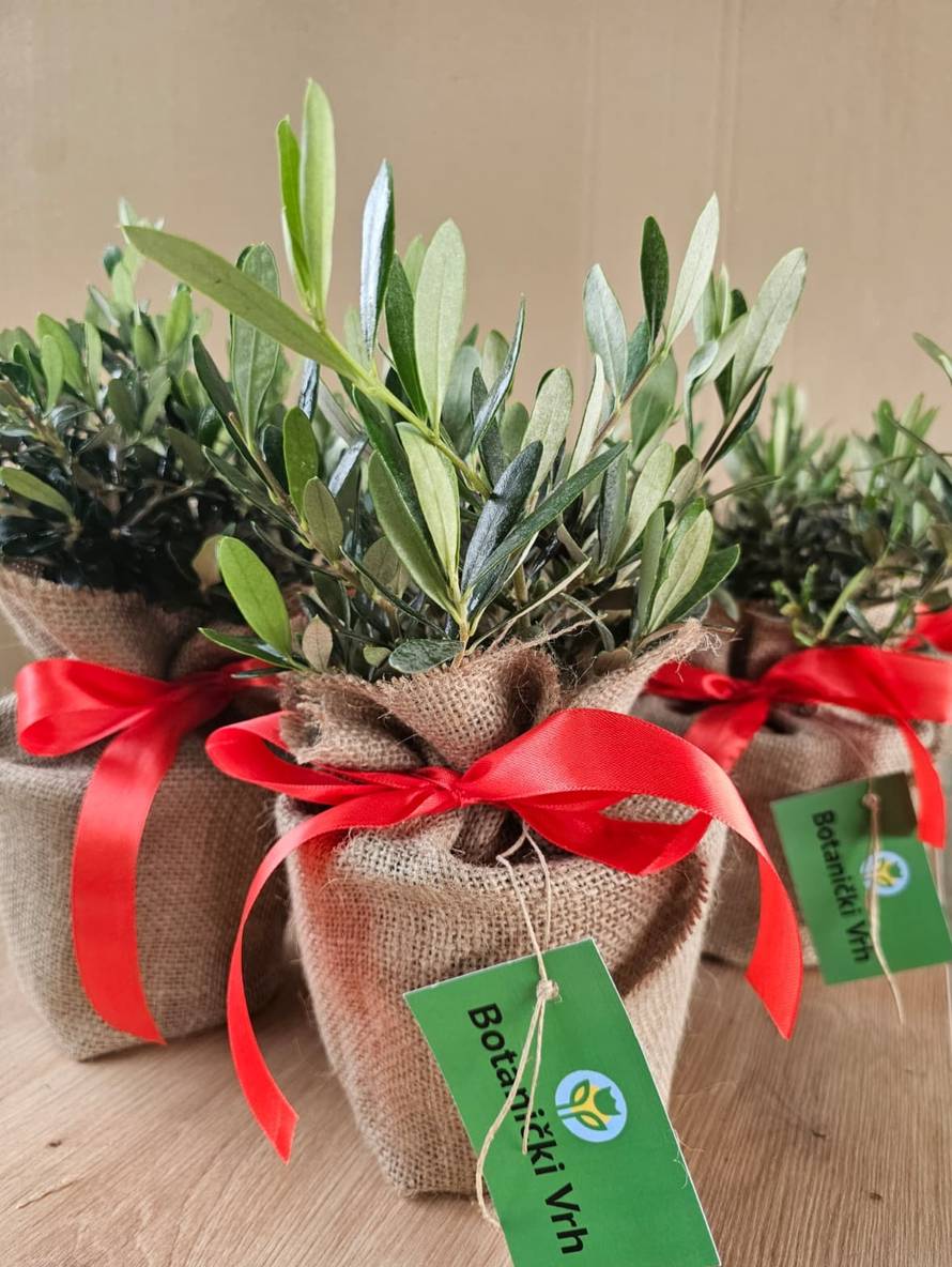 Mladi pokreću novi trend: Zašto opet svi sadimo?