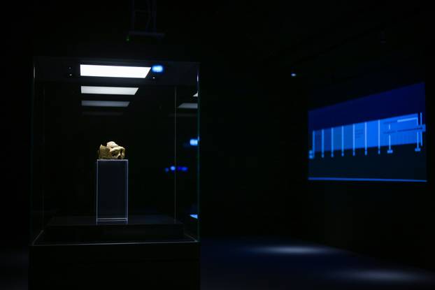 Zagreb: Otvorenje izložbe Lubanja C u Prirodoslovnom muzeju