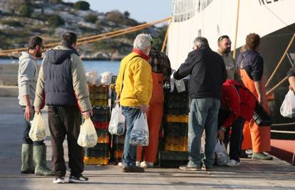 'Sretan Božić': Ribari dijelili besplatno čak 20 tona srdela