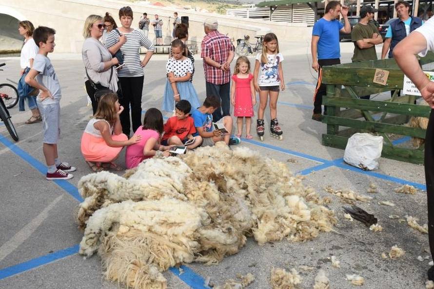 'Bee, ostavi mi bar šiške': Ovce kod najbržih hrvatskih frizera