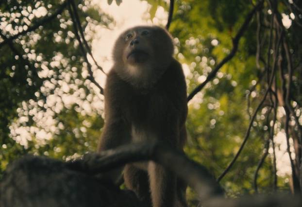 FOTO Mračne tajne serije 'Bijeli lotos': Kruži priča tko je ubojica! 'Pa ovo je šokantnije od incesta'