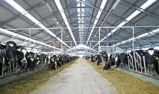 Podravka Agri &scaron;iri brend ABC i donosi asortiman proizvoda od 100 posto doma&cacute;eg mlijeka