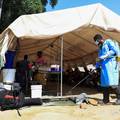 Epidemija kolere hara istokom i jugom Afrike. UNICEF zabrinut: Više od 3000 mrtvih od bolesti