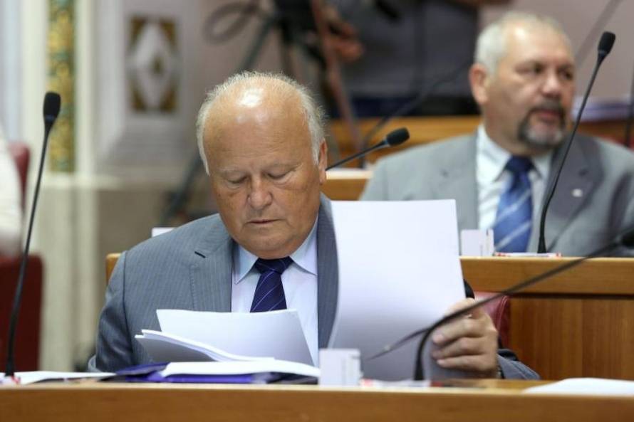 Patrik Macek/PIXSELL