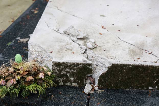 U oluji porušena stabla na Mirogoju napravila su veliku štetu