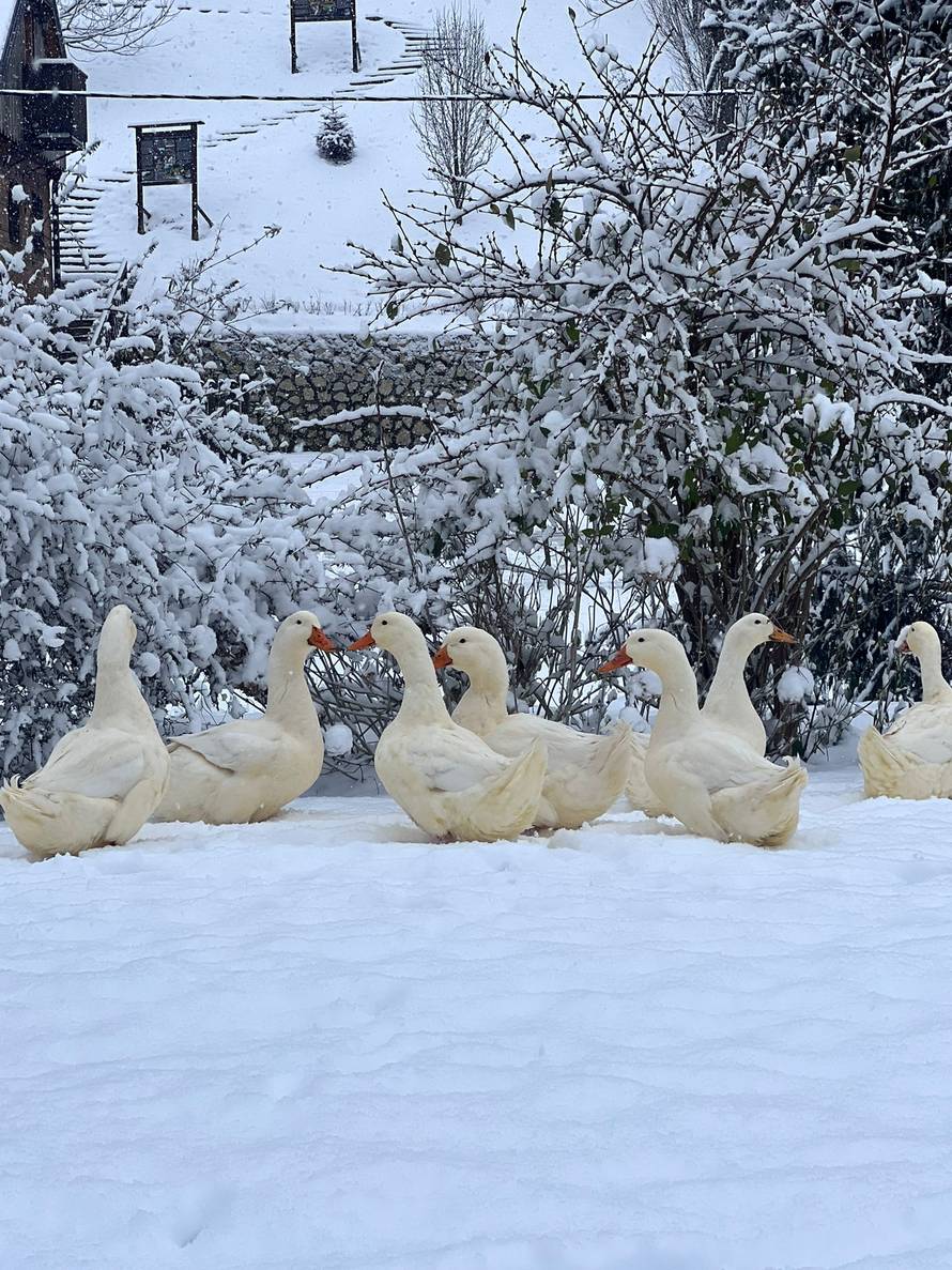 Općinska komunalka sama 'izlopatala' snijeg sa staze: 'Nema nikakve drame u tome'