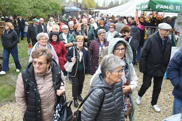 Održana tradicionalna Hlebinska čvarkijada