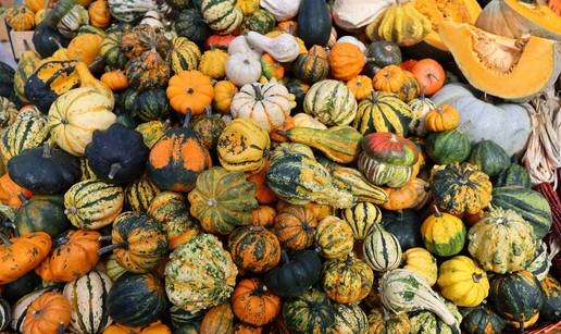 Stiže nam Bučijada! Dođite i uživajte u jesenskim okusima