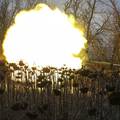 Velika Britanija šalje krstareće rakete Ukrajini: Moći će napasti ruske snage s velike udaljenosti