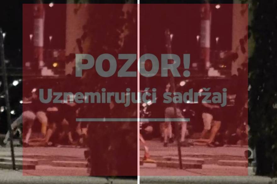 Tu&ccaron;njava huligana