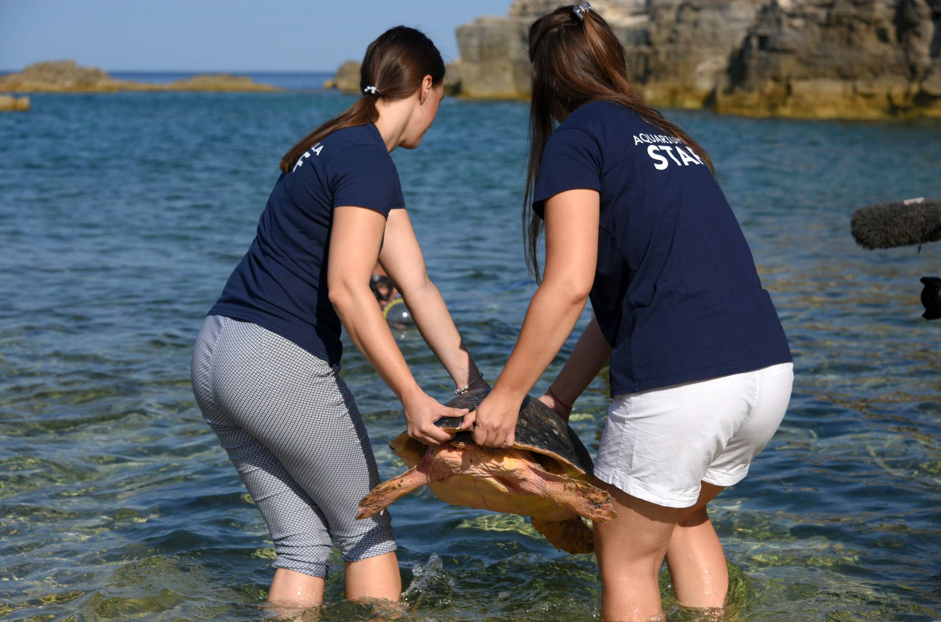 Kornjača Zdravka vraćena je u more nakon što se oporavila u pulskom Aquariumu