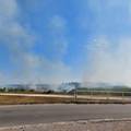 VIDEO Požar u blizini Velike Gorice: Gorjela je trava i šikara