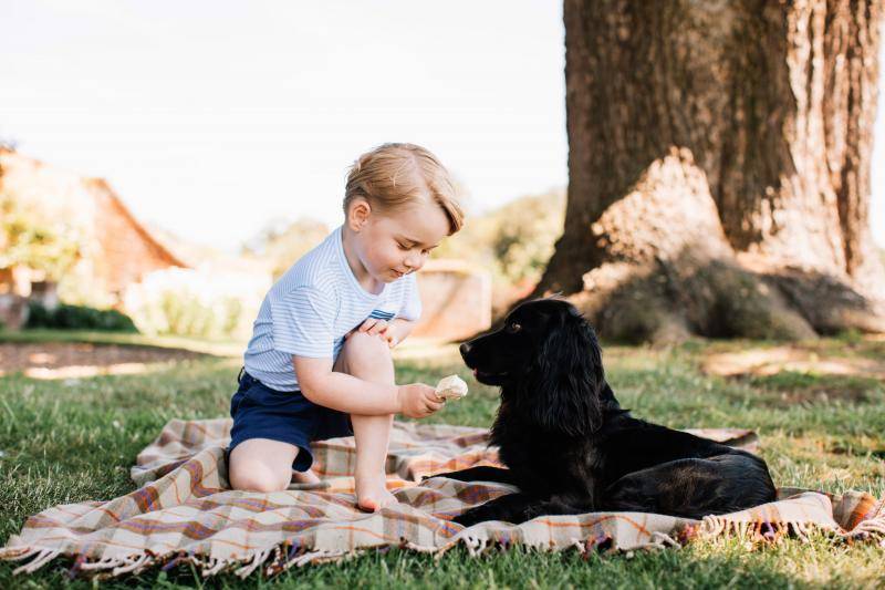 Prince George's third birthday