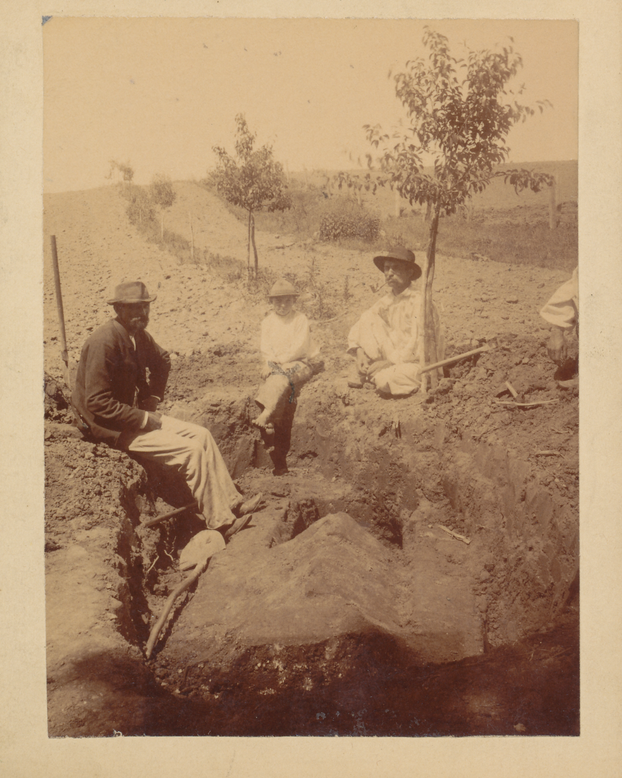 Arheolo&scaron;ka istra&zcaron;ivanja u &Scaron;trbincima 1895. (Josip Brunšmid; AAMZ 73)