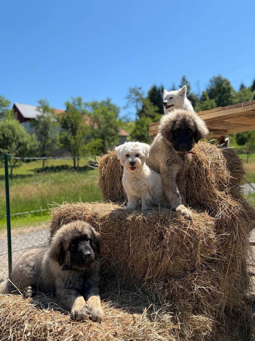 Na putu prema moru krije se mjesto na kojem ćete poželjeti ostati dulje
