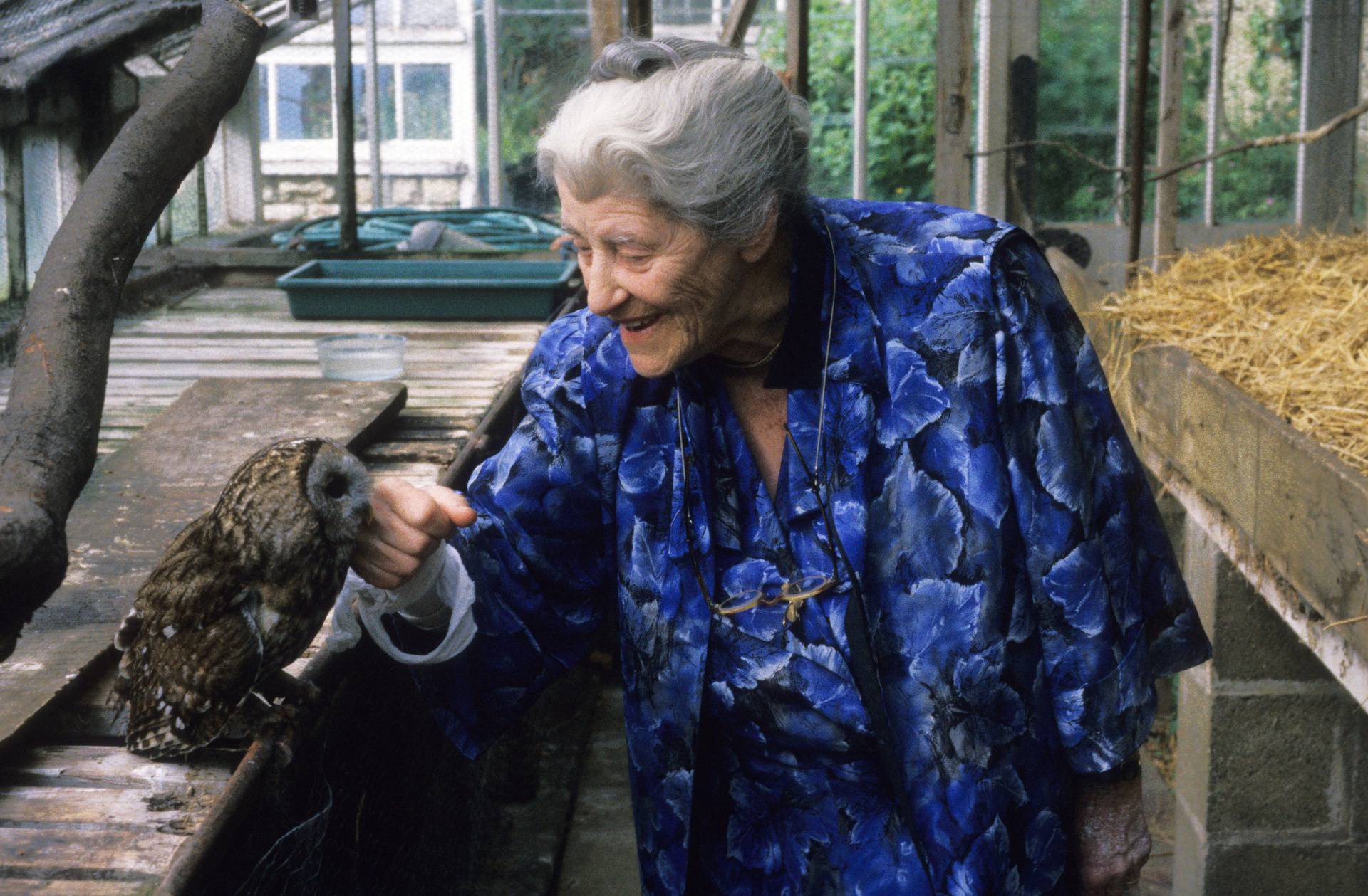 Ashton Wold Peterborough Miriam Rothschild in her glass house with tawny owl 1991