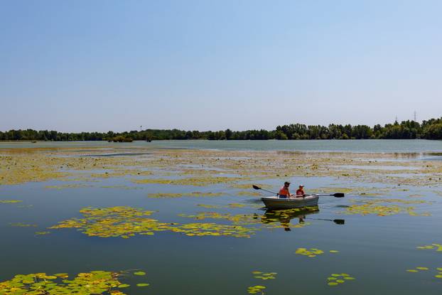 Ljetna idila na jezeru Rakitje uz Kamp Zagreb