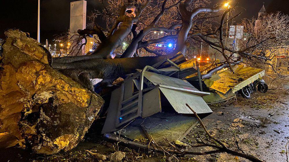 FOTO Olujno jugo u Splitu ruši sve pred sobom: Stablo palo na motore i štandove, srušen i stup