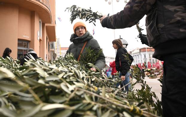 Zagreb: Prodaja maslinovih grančica uoči Cvjetnice