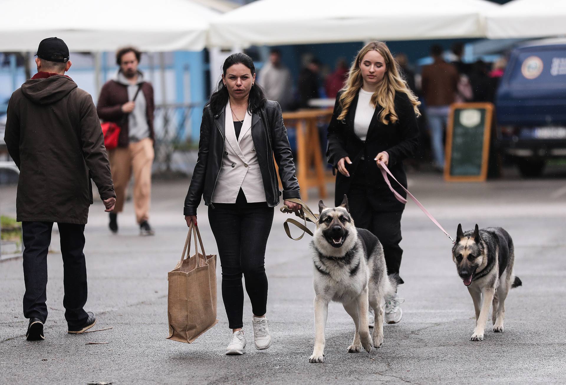 Zagreb: Svjetska izložba pasa na Velesajmu