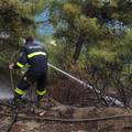 Bacao opuške i izazvao požar na Marjanu pa prijavio da gori