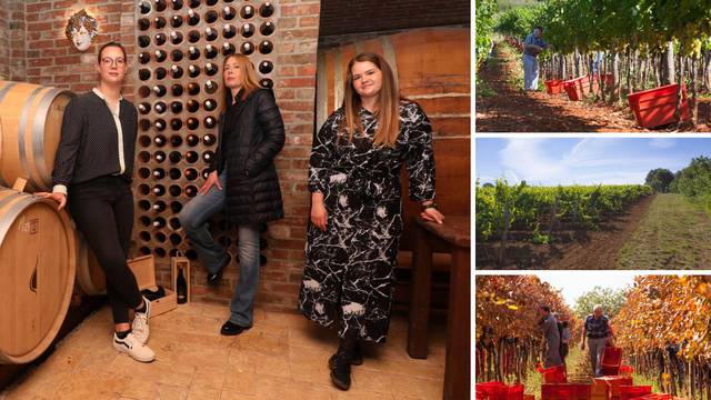 Mama i kćeri na čelu vinarije: 'Mi smo istarske kraljice vina'
