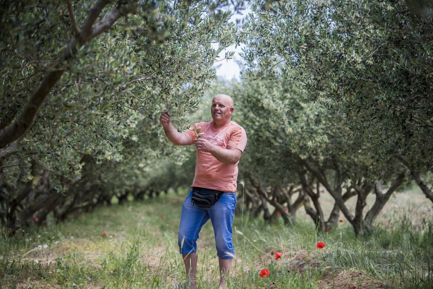 Lepuri, Benkovac, 26.05.2022 - Za Ljubav je na selu, farmer Ive Pavlovic