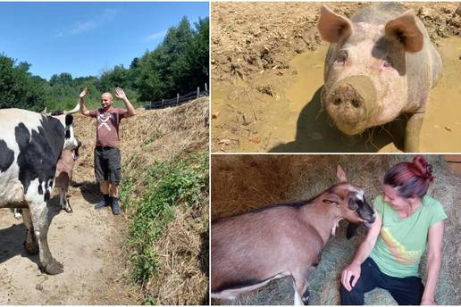 Na imanju kraj Vrbovca brinu se o spašenim životinjama: Sve imaju imena i uživaju u raju