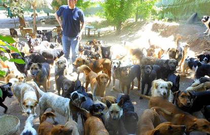 Ljubitelj životinja iz Niša brine o čak 400 zlostavljanih pasa