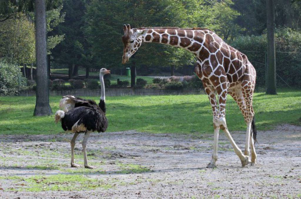 Ljubljana Zoo