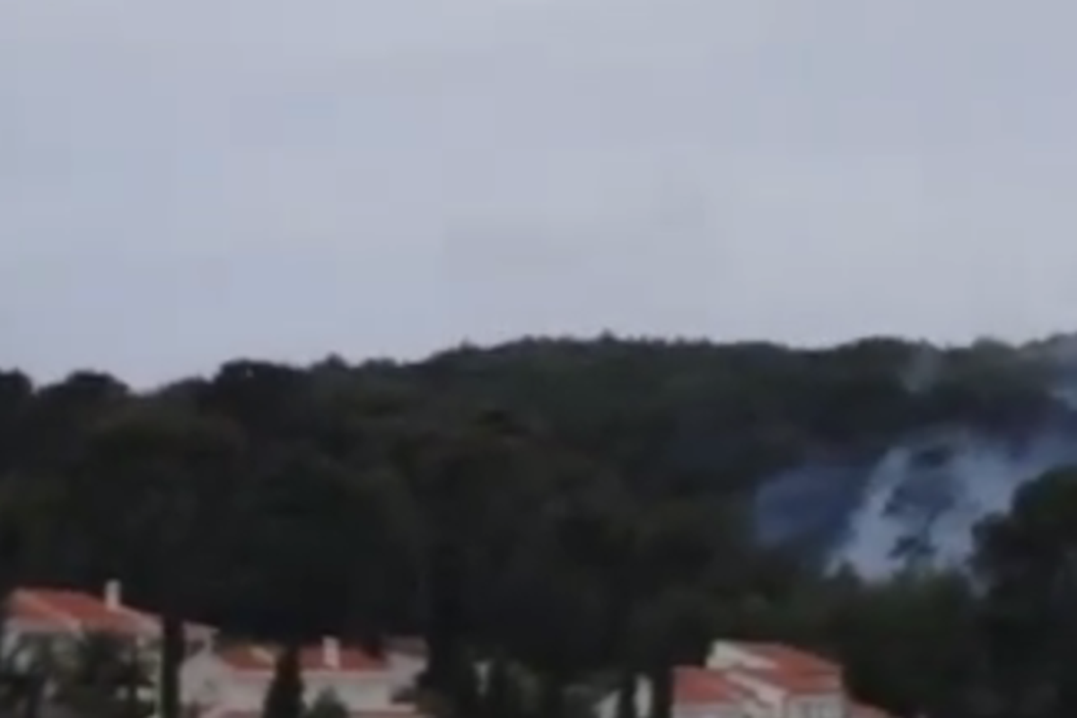 Kanader gasio nisko raslinje i borovu šumu na otoku Ugljanu