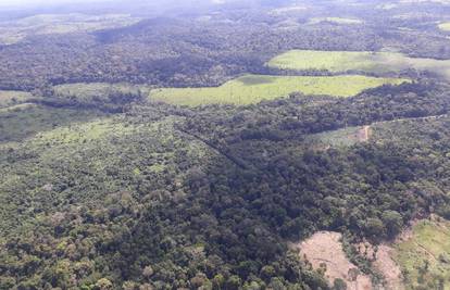 Krčenje šuma u brazilskoj Amazoniji smanjeno za 34 posto u prvoj polovici godine