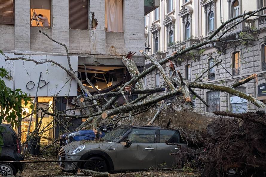 Milan - Fallen Tree in Viale Premuda, Mine, Italy - 17 Apr 2025
