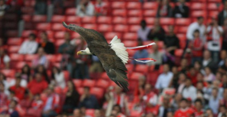 Benfica odbila AEK: Ništa od najbizarnije posudbe u povijesti