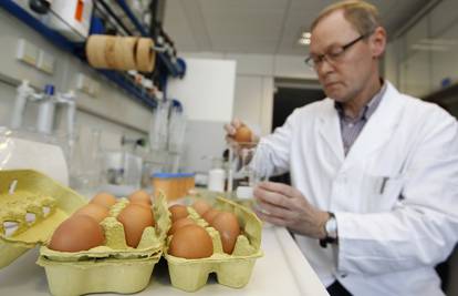 Rekordna cijena: Europi uoči Uskrsa prijeti nestašica jaja 