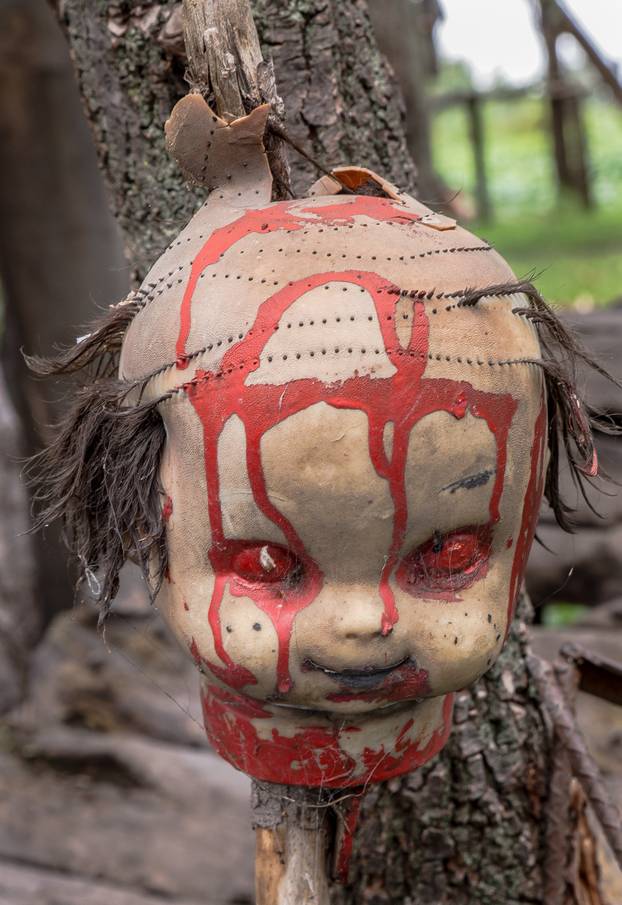 Enter Mexico's haunted 'Island of the Dolls' if you dare: Thousands of creepy toys hang from the trees to quell the tormented screams of a ghost of a little girl who drowned there