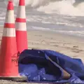 Horor scena na popularnoj plaži na Floridi! Radnik pronašao odsječenu ljudsku glavu