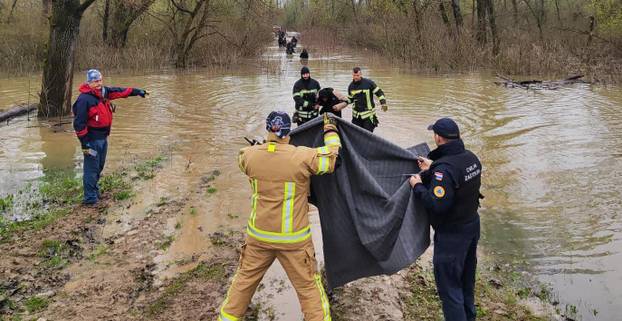 PRVE FOTKE S MJESTA UŽASA Spasili 30 migranata iz Save!